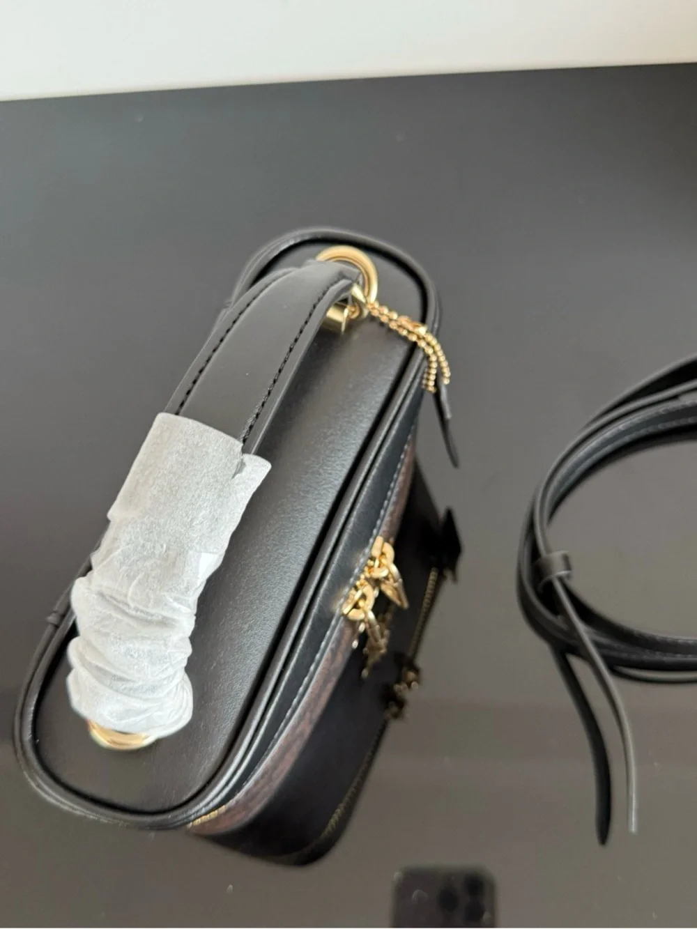 Coach outlet mini